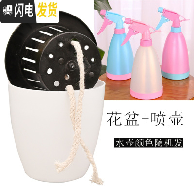 三维工匠懒人花盆自动吸水花盆绿萝用懒人盆特大水培自吸盆塑料吸水 盆+喷壶1个 m8[特大号2个]+m11[特花盆容器