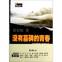 音像没有墓碑的青春/黑土地之歌贾宏图