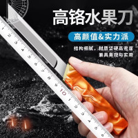 水果刀家用户外便携刀具进口切水果神器瓜果刀高硬度锋利小刀8138P