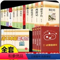 16册]初中中考必读12本名著 +名著导读+文言文+古诗文+语文基础知识 [正版]全套12册 初中必读名著十二本朝花夕拾