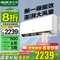 奥克斯(AUX)2匹空调挂机壁挂大风量一级省电节能速冷暖家用除湿自清洁以旧换新国家补贴50GW/BpR3ZAQK(B1)