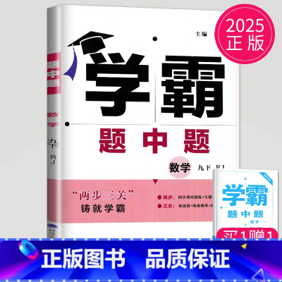 数学 九年级下 人教版 九年级/初中三年级 [正版]2025学霸题中题九年级下册上册数学物理英语化学苏科版译林版苏教人教