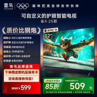 雷鸟雀4 25款32英寸4K四核机芯高清智能网络WiFi语音低蓝光认证液晶平板电视机快速开机32F195C