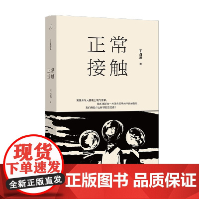 正常接触 王占黑 著 小说