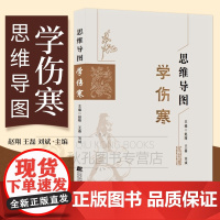 思维导图学伤寒 六经辨证框架图解 伤寒论思维导图梳理 纲要讲解伤寒论113首经方 398条原文白话精解注释 伤寒论教学/