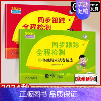 2上 语文+数学[2本 江苏专用] [正版]2024秋亮点给力同步跟踪全程检测及各地期末试卷精选一年级二三四五六年级上册