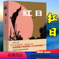 [正版] 红日书 吴强著 青少年革命爱国主义课外书 中国现当代文学 解放战争长篇小说 图书籍 中国青年出版社