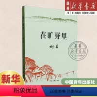 [正版]2024新书 在旷野里 精装硬壳 柳青 文学小说 中国近代随笔文学 现实主义精神 中国青年出版社2024重点