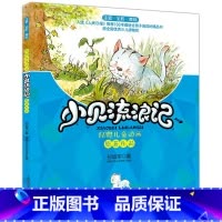 小贝流浪记(注音全彩美绘) [正版]小贝流浪记:注音全彩美绘 孙幼军 著 著 少儿艺术/手工贴纸书/涂色书少儿 图书籍
