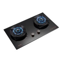 Haotaitai家用燃气灶JZY-X409 4.8kW大火力左右双灶智能防干烧安全灶可调底壳保洁铝炉头精铜燃烧器液化气