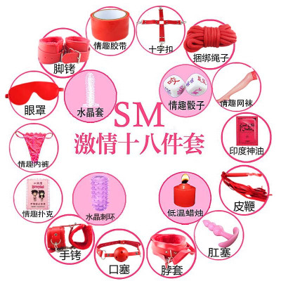 欢乐小鸟情趣用品SM刑具玩具女用成人眼罩口塞鞭子捆绑束缚另类性蜡烛胶带18件套红口塞口枷