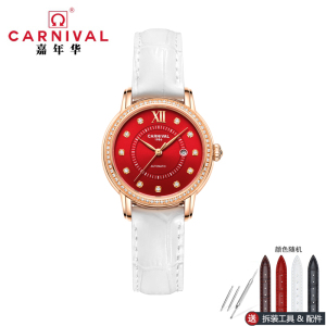 正品嘉年华Carnival瑞士品牌手表新款防水带日历全自动机械表 女士女表镶钻时尚气质简约腕表8062L