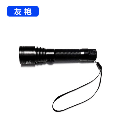 友艳LED灯YYDD-011/个