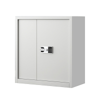 豪利特指纹电子保密柜钢制密码文件柜档案柜矮柜资料柜办公柜单节白色:国保锁