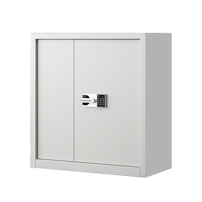 豪利特指纹电子保密柜钢制密码文件柜档案柜矮柜资料柜办公柜单节白色:国保锁