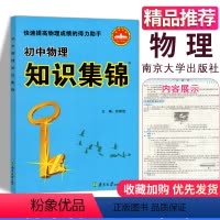 [正版]超能学典初中物理 知识集锦 南京大学业出版社 快速提高物理成绩的得力助手 中学物理知识大全 中学物理基础知识