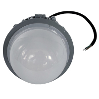 讯博士 LEDPTD100 220V 50W IP65 LED 应急平台灯(计价单位:个)银色