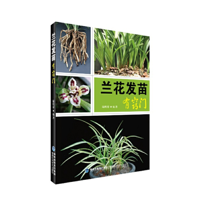 正版新书]兰花发苗有窍门陆明祥9787533548544