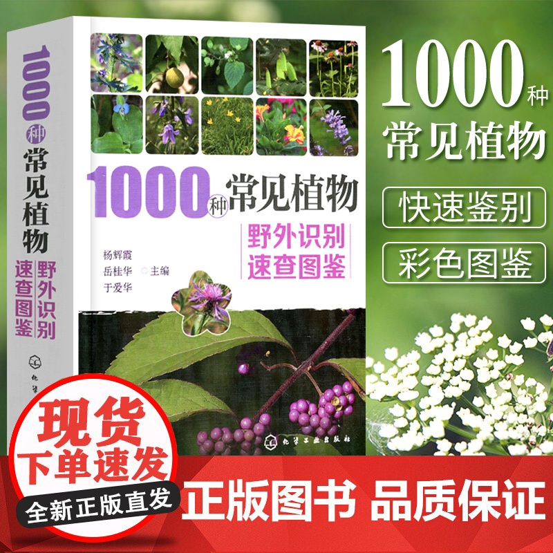 正版1000种常见植物野外识别速查图鉴 图解中草药大全 化学工业社 野外识别原植物鉴别图册中国常用手册 图识别与应用图典