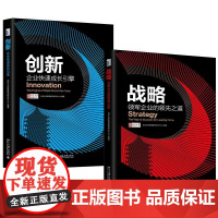 书全2册]创新企业快速成长引擎+战略领军企业的领先之道 北京大学管理案例研究中心北京大学出版社