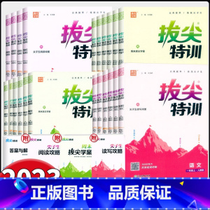 2本★语文+数学[北师版] 六年级下 [正版]2024新版拔尖特训一二三四五六年级上下册语文数学英语人教版北师大版小学1