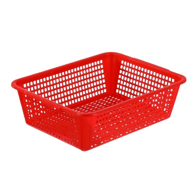 铁洋 塑料框子 洗菜篮 6号(50cm*39cm*16.5cm) 个