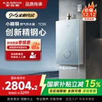 史密斯佳尼特[小精钢TCS5]13升精钢燃气热水器 国家补贴 JSQ26-TCS5 安全守护 持久恒温大水量 新品