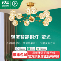 雷士照明[荧光]客厅吊灯满天星客厅主灯卧室灯中山灯具萤光