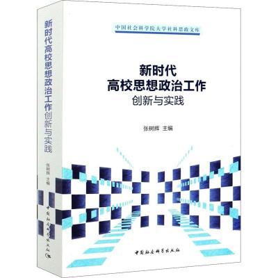 正版新书]新时代高校思想政治工作创新与实践张树辉978752037469