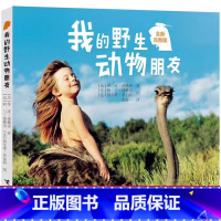 我的野生动物朋友 蒂皮德格雷 著 [正版]踢拖踢拖小红鞋二年级注音版金波提拖踢拖小红鞋 踢踏踢踏小红鞋书 提拖鞋拖小红鞋