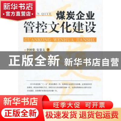 正版 煤炭企业管控文化建设 李树荣,安景天著 中国经济出版社 97