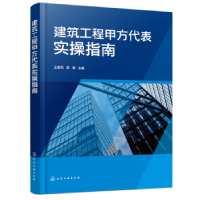音像建筑工程甲方代表实操指南王俊凯,李坤
