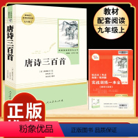 [人教版]唐诗三百首 [正版]九年级下册必读6册简爱儒林外史我是猫格列佛游记契诃夫短篇小说围城人民教育出版社初三中生课外