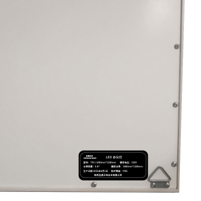 圣恩天泽 LED 面板灯 TSYJ 600mm*600mm 个