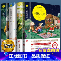 [正版]柳林风声 绿野仙踪爱丽丝漫游奇境木偶奇遇记小学生课外老师阅读书籍三四五六年级必读经典书目青少年儿童文学故事书读