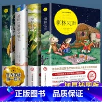 [正版]柳林风声 绿野仙踪爱丽丝漫游奇境木偶奇遇记小学生课外老师阅读书籍三四五六年级必读经典书目青少年儿童文学故事书读