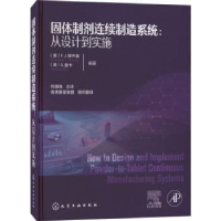 音像固体制剂连续制造系统:从设计到实施