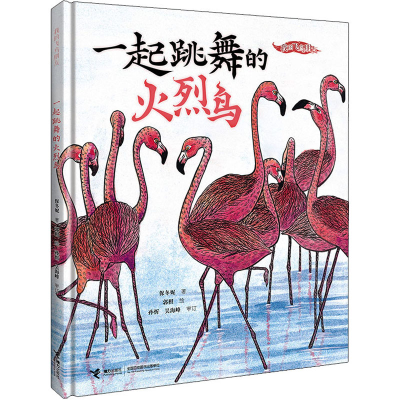 醉染图书一起跳舞的火烈鸟9787544878579