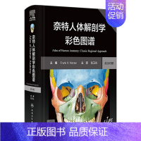 [正版]奈特人体解剖学图谱 第8版彩色神经系统肌肉骨骼生理学基础肌动学尸变图鉴列车格氏结构和功能八版正常2023法医版解