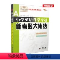 [正版]2019新版小学英语升学夺冠新考题大集结全国68所小学小升初英语小学升初中考试辅导书籍六年级小学英语总复习小升