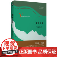 微渺人生(传记式虚构系列)