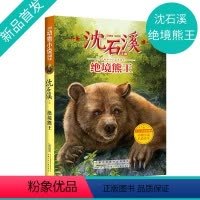 绝境熊王 [正版]沈石溪动物小说 绝境熊王fb小学生三四五六年级课外阅读书籍儿童文学读物经典书目 沈石溪的书全系列