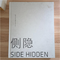 正版新书]侧隐:陈子君油画集陈子君 绘9787539451480