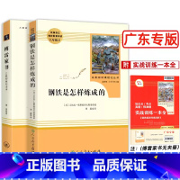 八年级下2本 钢铁+傅雷家书 [正版]广东专版名著阅读课程化丛书初中生八年级上下册课外阅读昆虫记红星照耀中国 钢铁是怎样