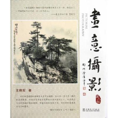 正版新书]画意摄影(附光盘第2版)王晓军9787512337855