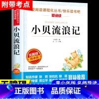 小贝流浪记 点评版 [正版]小贝流浪记 孙幼军著童话必阅读 中小学生青少年版课外书儿童文学初中生读物五六七八年级课外阅读