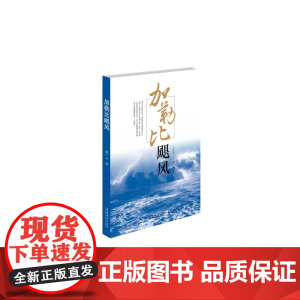 加勒比飓风