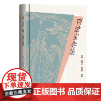 西游宝卷集 胡胜, 赵毓龙, 赵鹏程辑校 著 上海古籍出版社 古典文学理论 文学理论/文学评论与研究