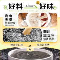 南国生椰黑芝麻糊300g(单位:件)H