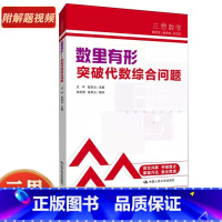 数里有形:突破代数综合问题 初中通用 [正版]中考数学 人大附中“三思数学”数里有形:突破代数综合问题(人大附中及分校教